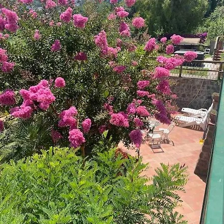 Casa Lacco Ameno Villa Ischia